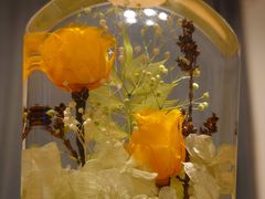 jhanaasobi kaleidoւ̓eʐ^1