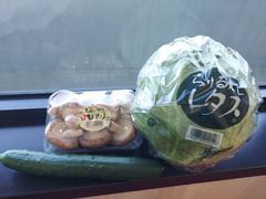 �Ձ[����̑�۔~�c�X�ւ̓��e�ʐ^1