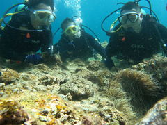 邳̃}T[rXނʁ[ւ̓eʐ^1