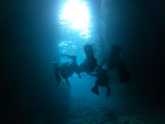 邳̃}T[rXނʁ[ւ̓eʐ^2