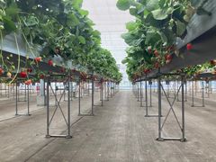 T~G̃gK@XvOt@[@ւ̓eʐ^1