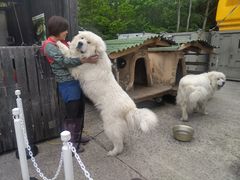 䂩񂳂̐AEghAZ^[(X)ւ̓eʐ^1