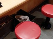 K2̃S[S[J[ w{R̓eʐ^3