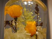 jhanaasobi kaleido̓eʐ^1