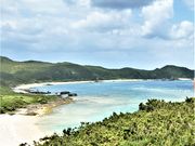 �Ðh�F����̈��g�A�W�]��̓��e�ʐ^2