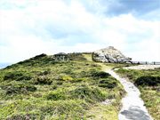 �Ðh�F����̈��g�A�W�]��̓��e�ʐ^3