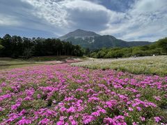 炳炳񂲂̗rR̎ōւ̓eʐ^1