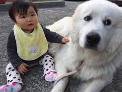 䂩񂳂̃BgJ̓]ւ̓eʐ^1