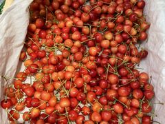 Ԃ񂳂̋vۓc_ւ̓eʐ^1