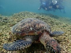 с[̃}T[rX@pb\ւ̓eʐ^1