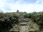 }Cann̕XmRi{mRj̓eʐ^1