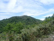 }Cann̕XmRi{mRj̓eʐ^1