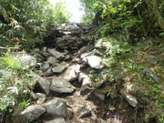 }Cann̕XmRi{mRj̓eʐ^1