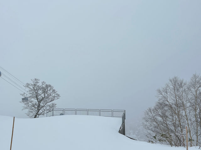 �Q�����f_�c��X�L�[��