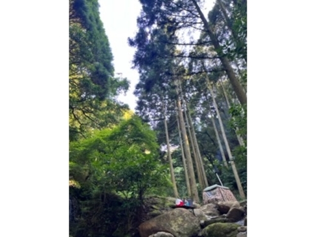 �O�C������̕��i_���X�g�n�E�X�@�X�̂����/�A�N�e�B�r�e�B�v���l�b�g�_��