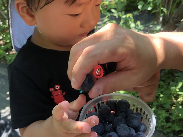 �u���[�x���[���������I_���c����