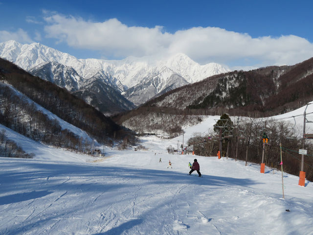 �Q�����f_�������X�|�[�c���B���b�W(�������X�L�[��)