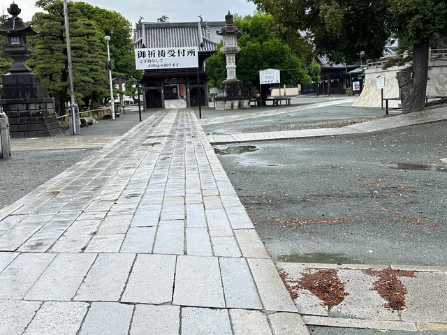 �L���_��_�L����