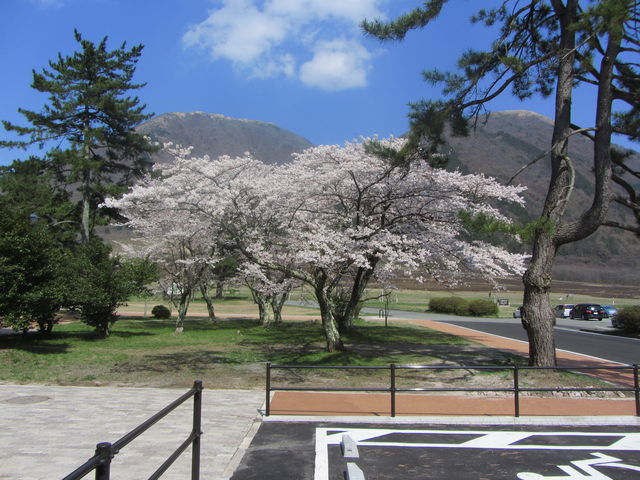 R̉wׂ̓ɂOgC̖ڂ̑O̍_R̉w