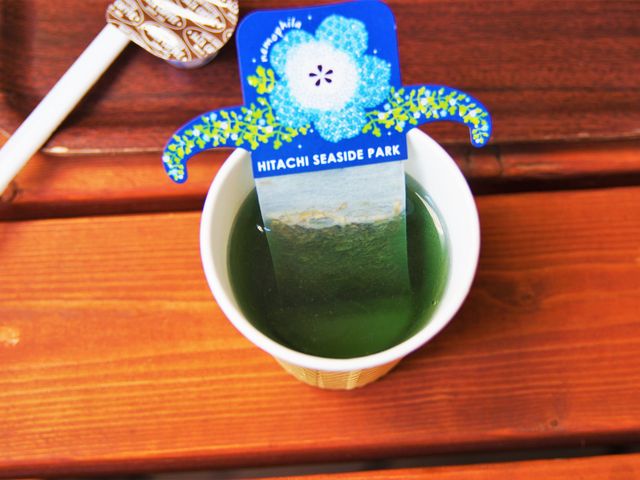 ltBu[EeB[@o_LO̐XXgnEX