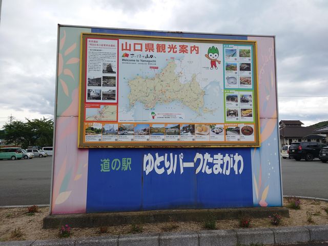 s@̉w Ƃp[N܂_̉w Ƃp[N܂