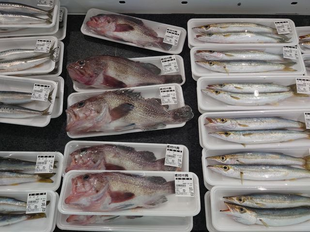 s@̉w Ƃp[N܂_̉w Ƃp[N܂