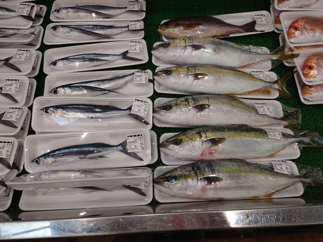 s@̉w Ƃp[N܂_̉w Ƃp[N܂