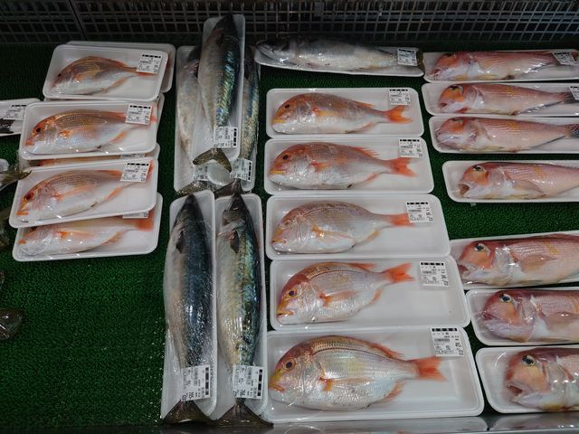 s@̉w Ƃp[N܂_̉w Ƃp[N܂