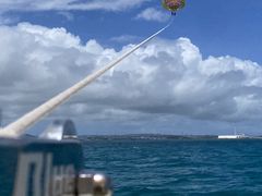 bb����̊�����Ѓu���[���O�[���I�L�i���ւ̓��e�ʐ^1