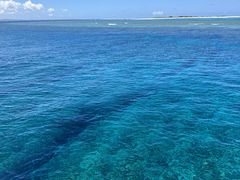 Ђ낵̌cǊ(P})C攼cA[X@OPGւ̓eʐ^1