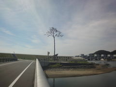 ͂߂̊Ղ̈{ւ̓eʐ^1