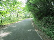 CCꃉC_[̏\탖̓eʐ^3