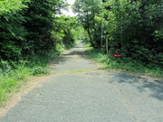 CCꃉC_[̏\탖̓eʐ^4