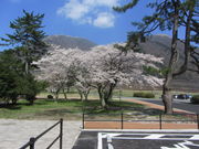 CCꃉC_[̎R̉wׂ̓eʐ^3