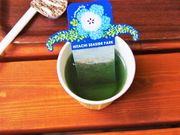 TC̃cm̋LO̐XXgnEX̓eʐ^3