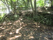 �C�C�ꃉ�C�_�[����̍����Ձi�������Ձj�̓��e�ʐ^6