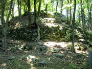 �C�C�ꃉ�C�_�[����̍����Ձi�������Ձj�̓��e�ʐ^7