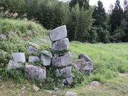 �C�C�ꃉ�C�_�[����̑������Օ����_���Ղ̓��e�ʐ^6