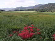 �C�C�ꃉ�C�_�[����̑������Օ����_���Ղ̓��e�ʐ^8