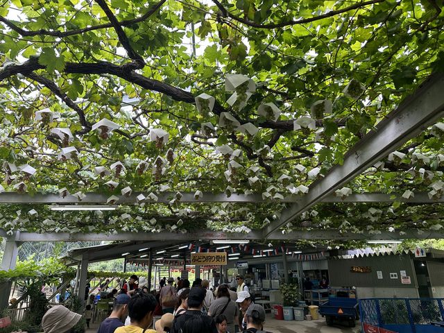 ������t�� ��t ���X ���̋@ �g�C�� �싅�� ��֎� ���q�l�V�� �߂��ɂ���܂��B_�V���_��@���}�i�J�ʉ�