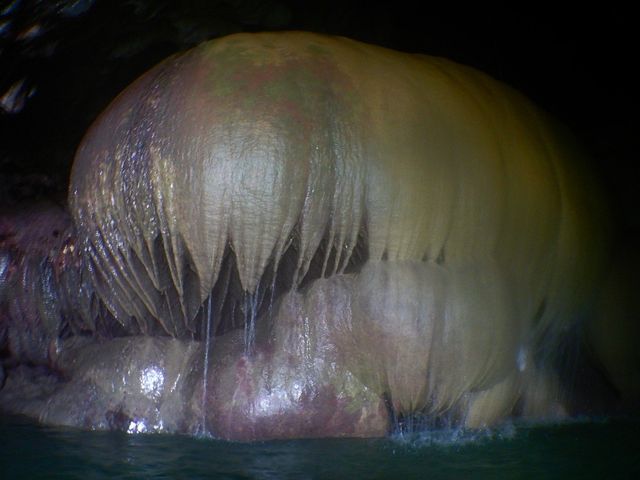 �p���v�L���I_SEA ENJOY