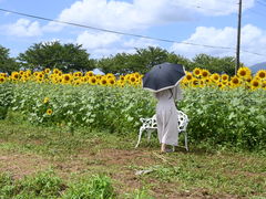 Ɂ`̍ԎsЂ܂蔨ւ̓eʐ^3