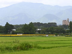 Ɂ`̍ԎsЂ܂蔨ւ̓eʐ^4