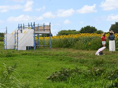 Ɂ`̍ԎsЂ܂蔨ւ̓eʐ^5