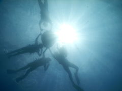 ���[����̃A���K�C�h����ւ̓��e�ʐ^1