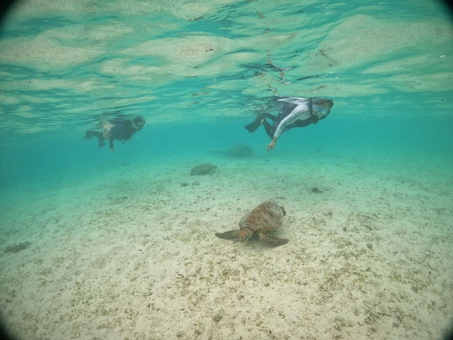 ���N�`���[�̍Œ��ɊC�T�Əo������ł��܂���_���񂴂ɂ{�Ó�