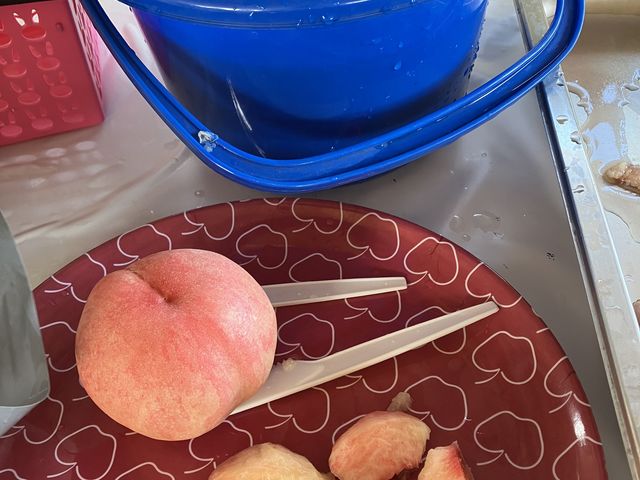 �̂肽�Ă̓����o�P�c�̐��ŗ�₵�āA�݂��Ă���������M�ɐ؂蕪���Ă��������܂��A�Â��Ĕ�����������_�t���[�c�p�[�N�z��