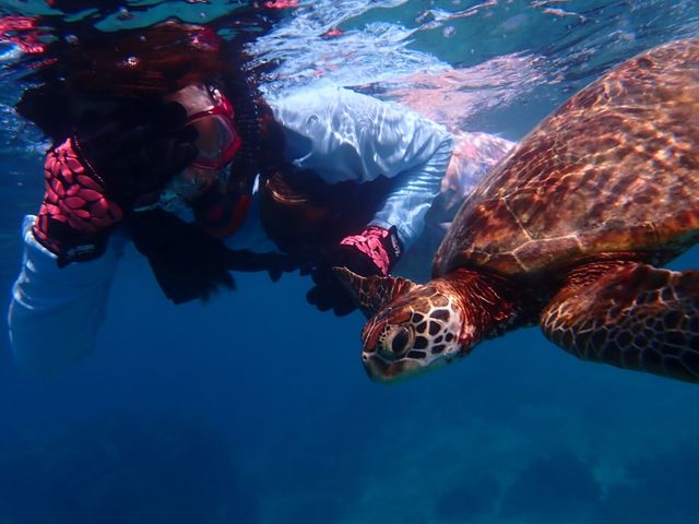 �E�~�K��_PolePolemarine385