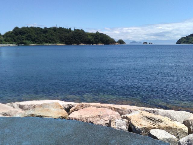 όĂphOĂ̌܂BĂ݂ICY킾B_˓phO