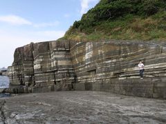 nobcoo̐{ztFXւ̓eʐ^1